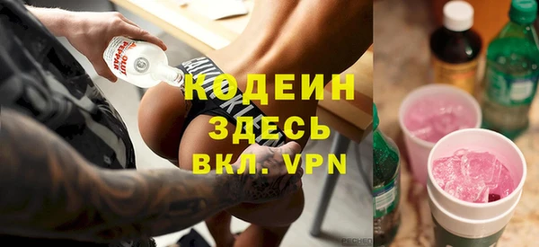 трава Коряжма
