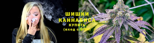 трава Коряжма