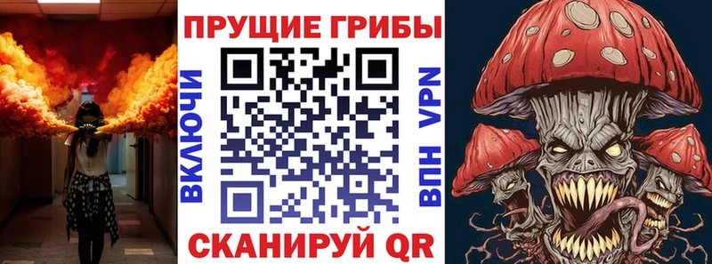 Галлюциногенные грибы Psilocybe  Купить закладки  Екатеринбург 